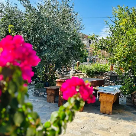 Balis House *