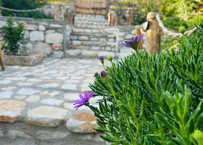 Balis House 度假居 Theologos (Thasos)